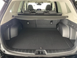 Subaru Forester - afbeelding nr 20