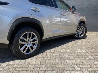 Lexus NX - afbeelding nr 9