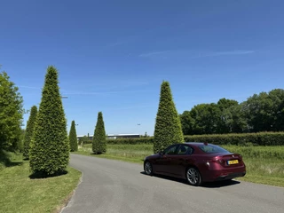 Alfa Romeo Giulia Alfa Romeo Giulia 2.0T 310pk, super netjes!! Veel opties!! - afbeelding nr 36
