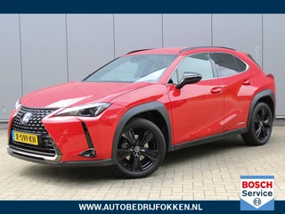 Lexus UX - 381652303-0