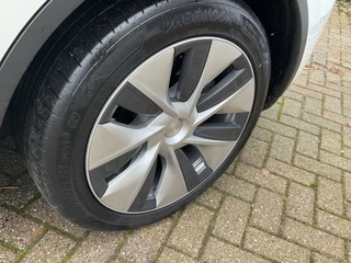 Tesla Model Y - afbeelding nr 12