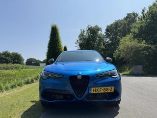 Alfa Romeo Stelvio Alfa Romeo Stelvio 2.0 T Q4 Veloce My24!! Blu Misano! 21inch - afbeelding nr 3