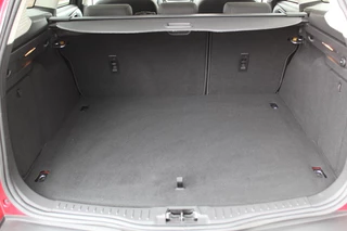 Ford Focus Ford Focus Wagon 1.0 Titanium Edition , 125pk Climate control , Navigatie , Cruise control , LED dagrijverlichting Parkeersensoren V+A , Voorruitverwarming , Sony Audio - afbeelding nr 34