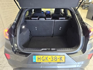 Ford Puma - afbeelding nr 11