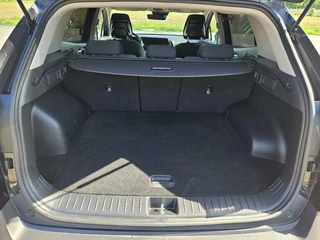 Kia Sportage Kia Sportage 1.6 T-GDi Hybrid DynamicLine | Hybrid HEV 230 PK | Automaat - afbeelding nr 34