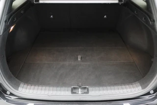 Kia Ceed Sportswagon Kia Ceed Sportswagon 1.0 T-GDi DynamicPlusLine Climate, Camera, Cruise, Apple Carplay, DAB, PDC, Trekhaak, 16'' - afbeelding nr 14