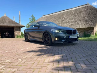 BMW 2 Serie BMW 2-serie Cabrio 220i M Sport Automaat HET DAK MAG ERAF ! - afbeelding nr 4