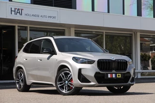 BMW X1 - 68004787-0