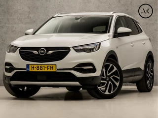 Opel Grandland X Opel Grandland X 1.2 Turbo Business Executive (APPLE CARPLAY, GROOT NAVI, CLIMATE, LEDER, TREKHAAK, SPORTSTOELEN, GETINT GLAS, ELEK ACHTERKLEP, LANE ASSIST, NIEUWE APK, NIEUWSTAAT) - afbeelding nr 1