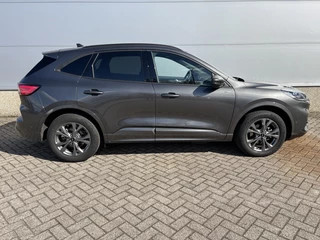 Ford Kuga - afbeelding nr 6