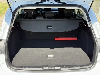Ford Focus Ford Focus Wagon 1.0 EcoBoost Titanium X Business Cruise - afbeelding nr 15