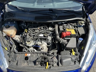 Ford Fiesta - afbeelding nr 11