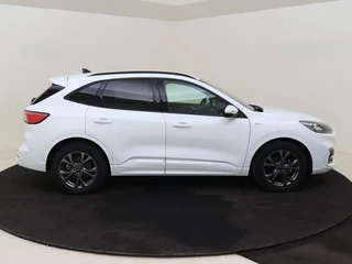 Ford Kuga - afbeelding nr 6