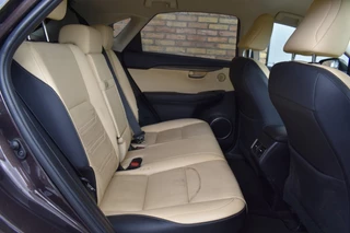 Lexus NX Lexus NX 300H AWD LUXURY LINE, Camera, Cruise - afbeelding nr 11