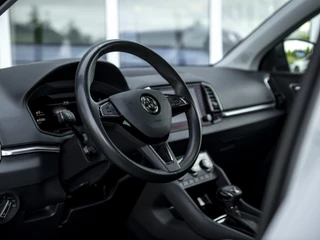 Škoda Karoq | Leer | Navi  & App-Connect | 18
