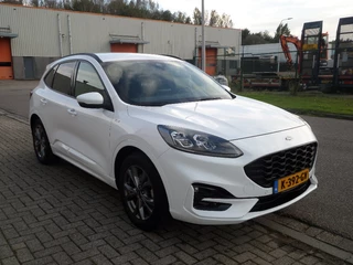 Ford Kuga - afbeelding nr 9