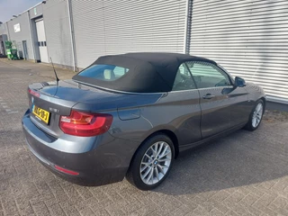 BMW 2 Serie BMW 2-serie Cabrio 218i High Executive, airco,navigatie,stoelverwarming,parkeersensoren,cruisecontrol, - afbeelding nr 9