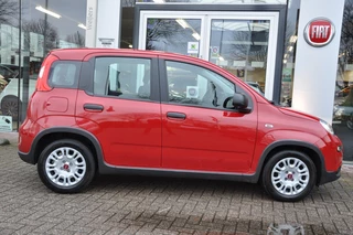 Fiat Panda - afbeelding nr 13