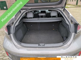 Hyundai IONIQ Hyundai IONIQ Premium EV 38 kWh - afbeelding nr 3