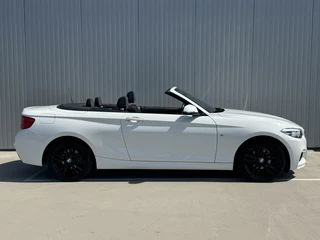 BMW 2 Serie BMW 2-serie Cabrio 218i Executive M-Sport|Navi|NL-Auto - afbeelding nr 36