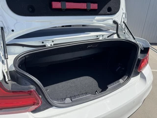 BMW 2 Serie BMW 2-serie Cabrio 218i Executive M-Sport|Navi|NL-Auto - afbeelding nr 16