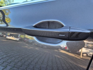 Volkswagen Passat - afbeelding nr 11