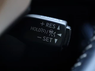 Lexus NX Lexus NX 300h AWD Luxury Line | Schuifdak | Safety Pack | Premium Audio - afbeelding nr 25