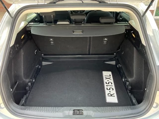 Ford Focus - afbeelding nr 9