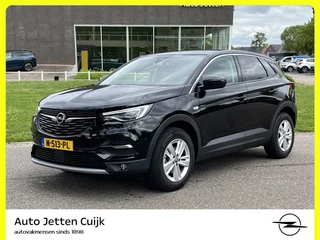 Opel Grandland X 1.2 Turbo Bus. Eleg # Rijklaar # Trekhaak | AFL | Elec achterkle