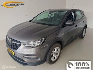 Opel Grandland X Opel Grandland X 1.2  Edition 130PK Trekh|Carplay|Navigatie - afbeelding nr 1