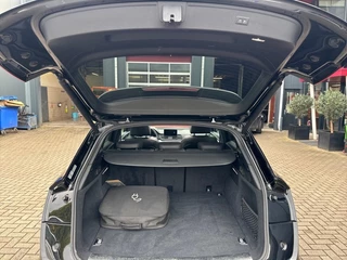 Audi Q5 - afbeelding nr 10