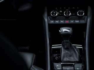 Škoda Karoq | Leer | Navi  & App-Connect | 18
