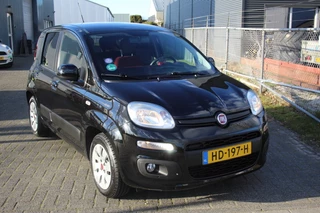 Fiat Panda - 509317659-0