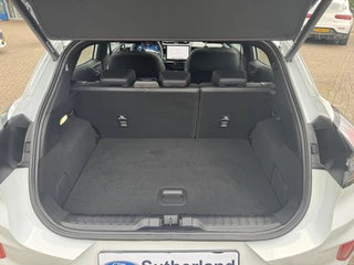 Ford Puma Ford Puma 1.0 EcoBoost Hybrid ST-Line X 155pk Automaat | Panoramadak | Afneembare trekhaak | Winter Pack | Adaptive cruise control | 360 graden camera | Bang&Olufsen | Elektrsiche achterklep | Matrix LED - afbeelding nr 11
