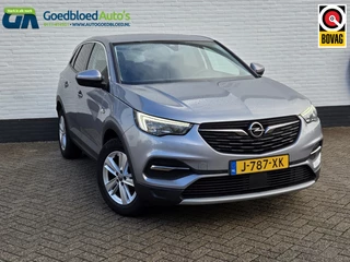 Opel Grandland X 130 PK Turbo Business Executive | Stoel/Stuurverwarming | Comfor