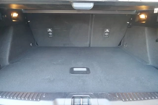 Ford Focus - afbeelding nr 21