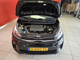 Kia Picanto Kia Picanto 1.0 MPi Dynamic PlusLine, Navigatie, parkeercamera, lm velgen - afbeelding nr 15