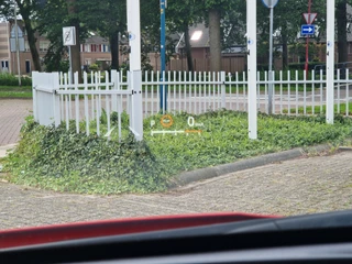 Toyota Yaris Head up display,  Panoramdak, JBL , All-in Rijklaarprijs - afbeelding nr 12