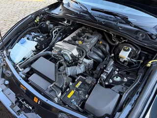 Mazda MX-5 - afbeelding nr 17