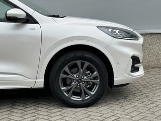 Ford Kuga - afbeelding nr 8