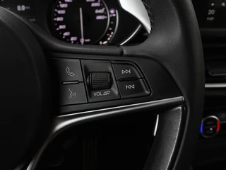 Alfa Romeo Stelvio Alfa Romeo Stelvio 2.0 T Q4 Super | Camera | Sportstoelen | Xenon |  Navigatie | Elektrische achterklep | Cruise control - afbeelding nr 16