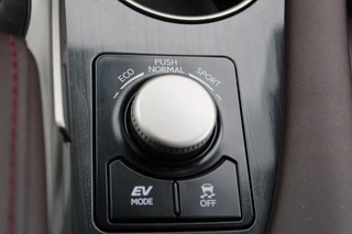 Lexus RX Lexus RX 450h 4WD Luxury Line Panorama dak - afbeelding nr 25
