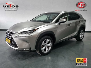 Lexus NX - 358848377-0