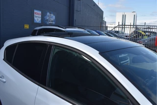 Ford Focus Ford Focus 1.0 EcoBoost Titanium X Business , ST LINE ,PANORAMAK,BOEKJE,NAP EN ONDERHOUDSHISTORIE - afbeelding nr 11
