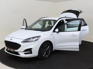 Ford Kuga - afbeelding nr 9