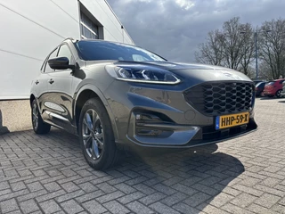 Ford Kuga - afbeelding nr 14