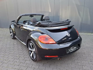 Volkswagen Beetle Volkswagen Beetle Cabriolet 1.2 TSI Design LED / NAVI / STOELV. - afbeelding nr 5