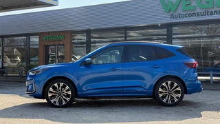 Ford Kuga - afbeelding nr 6