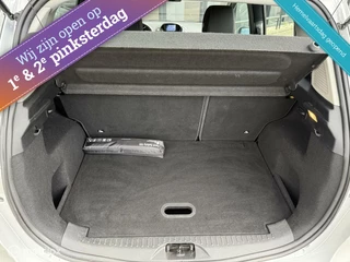 Ford B-MAX Ford B-Max 1.0 EcoBoost Titanium Navi, Verwarmde voorstoelen, Dealer onderhouden Nieuwe APK - afbeelding nr 29