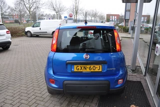 Fiat Panda - afbeelding nr 8